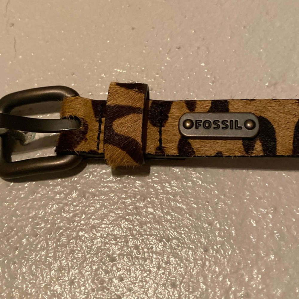 Fossil belt